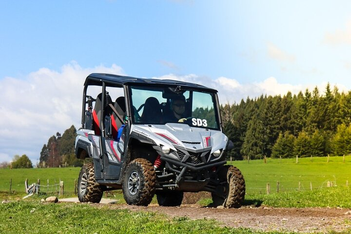Experience the thrill of a self-drive 4x4 buggy adventure on scenic trails surrounded by New Zealand's native bush while capturing unforgettable moments with every turn.